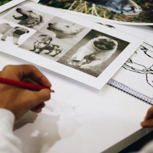 Drawing Animated Storyboards for Fantasy Films